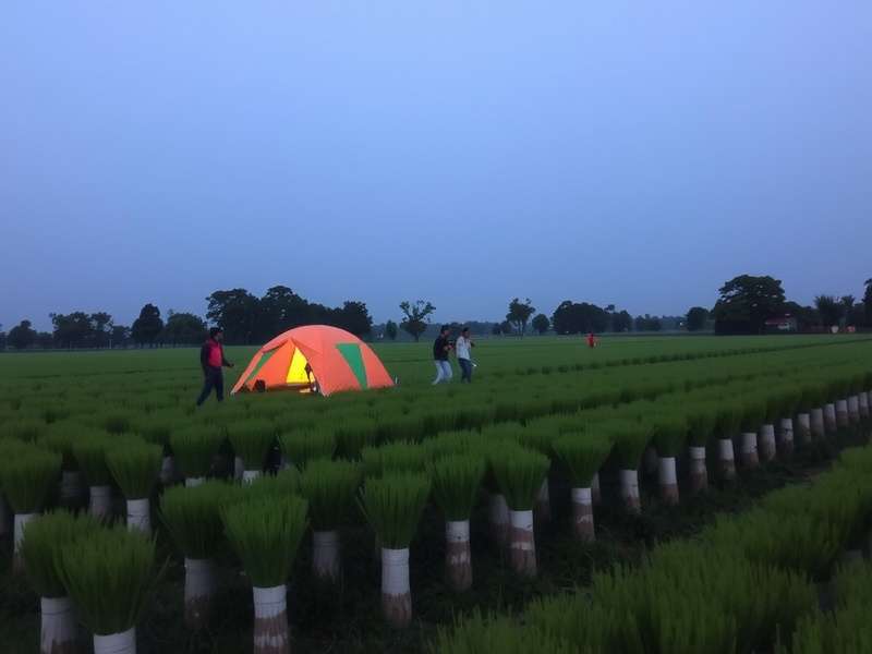 Hay Day Green Fields Indian Farming Game